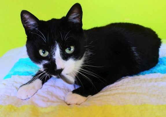 Darius_2927 Darius_2927