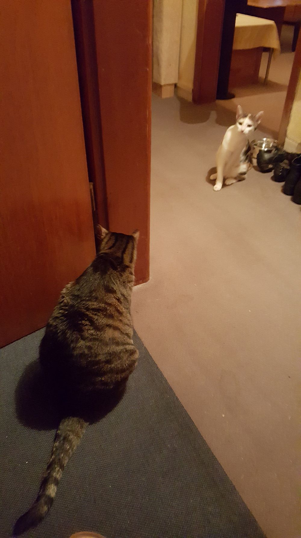 20200104_201038 20200104_201038