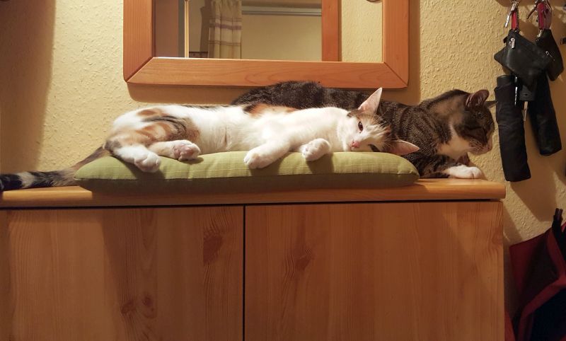 20200206_215645 20200206_215645