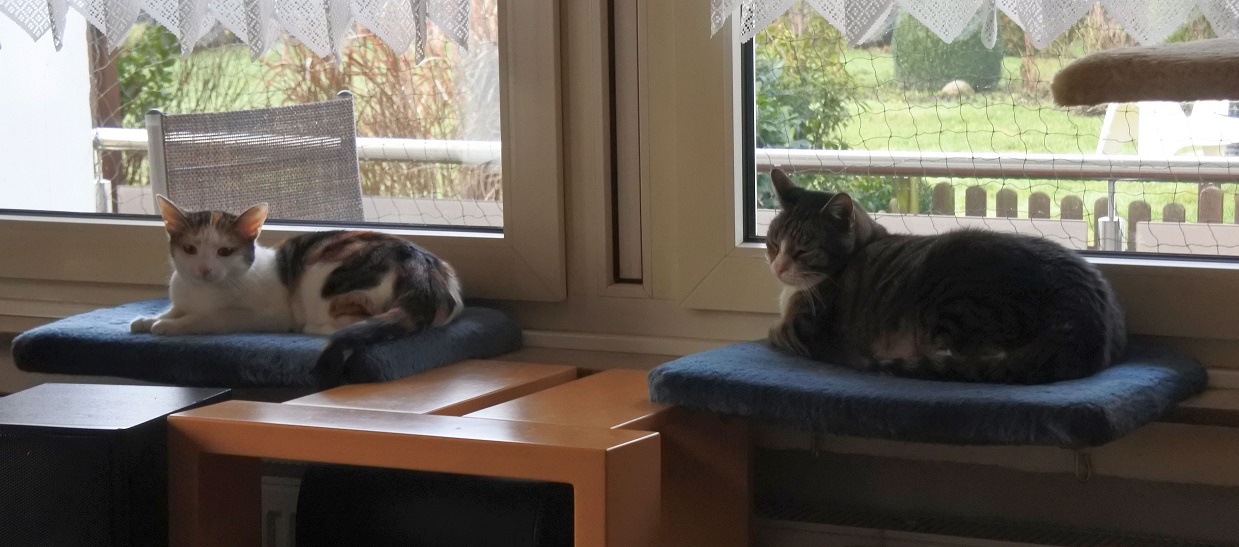 Beide_1125 Beide_1125