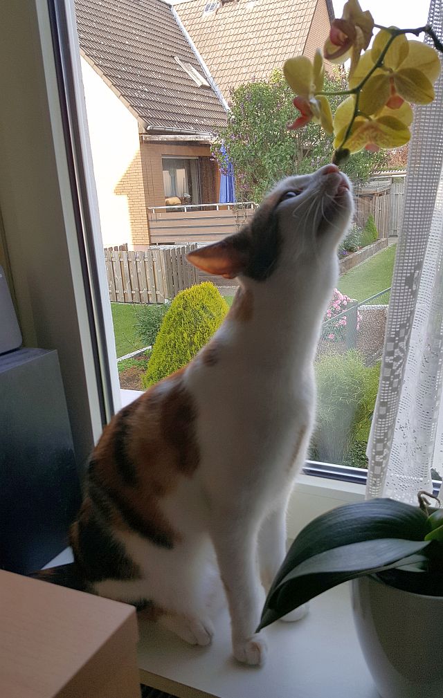 20200520_190805 20200520_190805