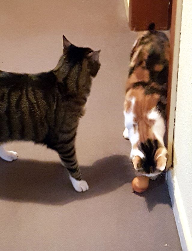 20200604_181336 20200604_181336