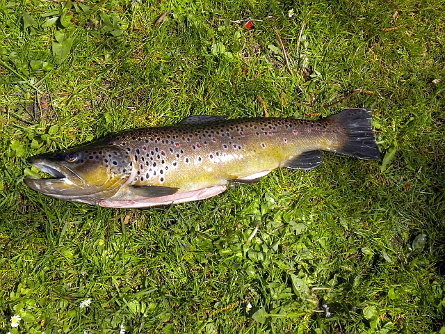 Lennestadt_055 Lennestadt_055