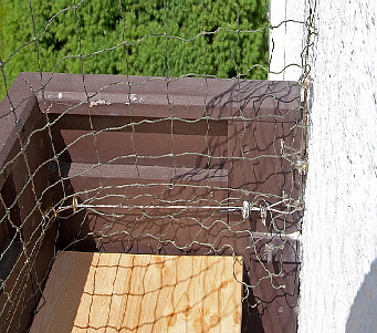 Balkon_2011 05 02_0027_bearbeitet-1 Balkon_2011 05 02_0027_bearbeitet-1