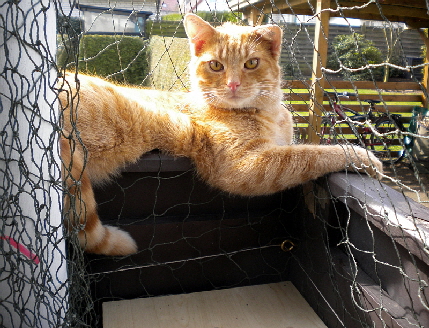 Gizmo und Paulch_004_01 Gizmo und Paulch_004_01