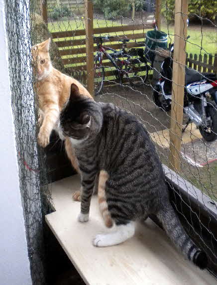 Gizmo und Paulch_007 (2) Gizmo und Paulch_007 (2)