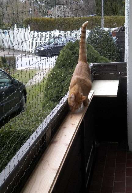 Gizmo und Paulch_009 Gizmo und Paulch_009