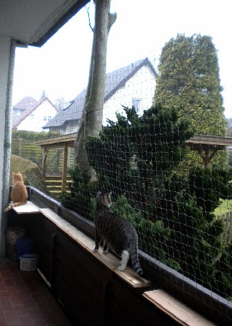 Gizmo und Paulch_023 (2) Gizmo und Paulch_023 (2)