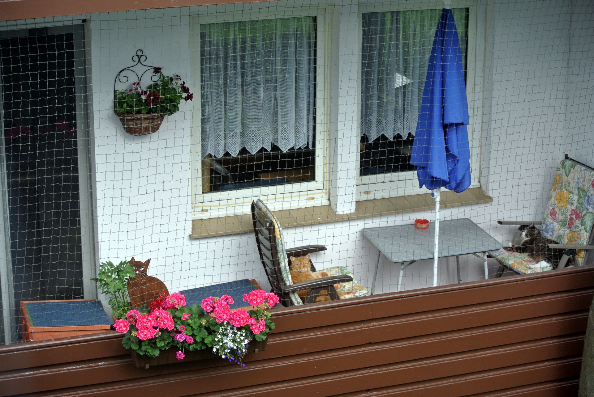 Paulchen und Giz_009_01 Paulchen und Giz_009_01