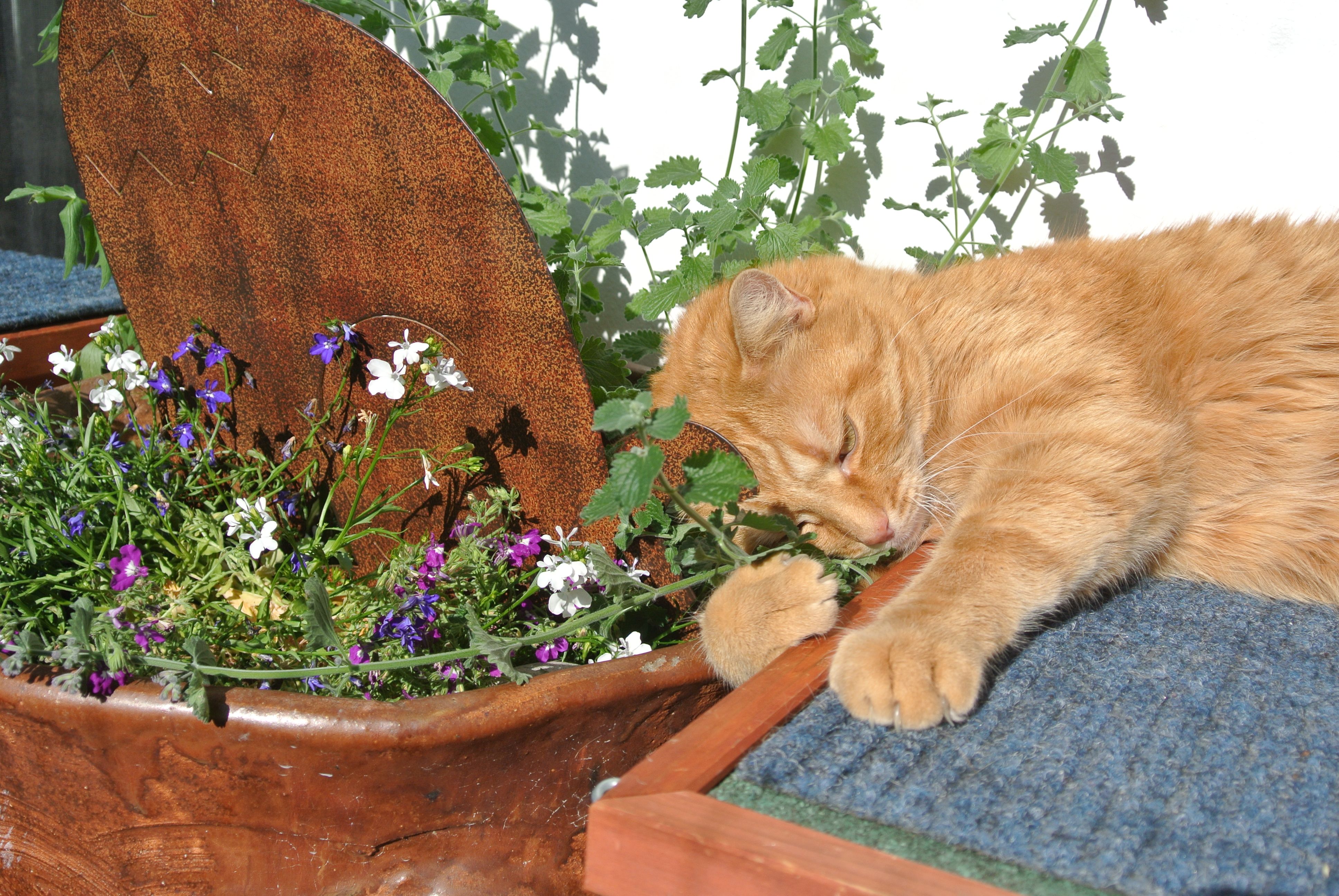 Paulchen und Giz_052 Paulchen und Giz_052