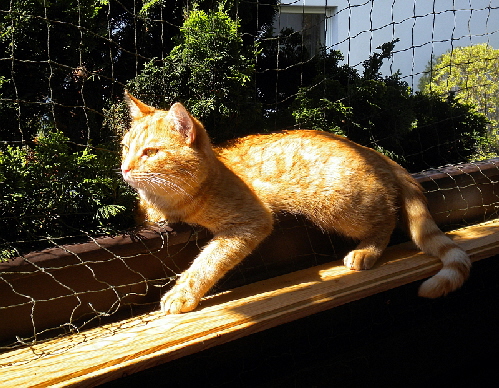 a_Gizmo_und_Paulch_006_01 a_Gizmo_und_Paulch_006_01