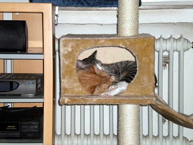 Gizmo und Paul 2_003