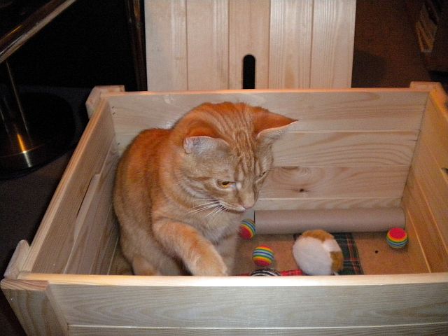 Gizmo und Paul _021 Gizmo und Paul _021